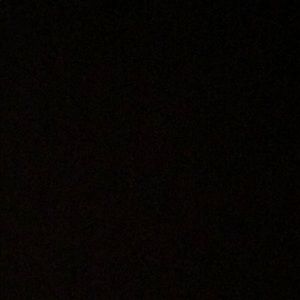 Meet your Posher, Rosa